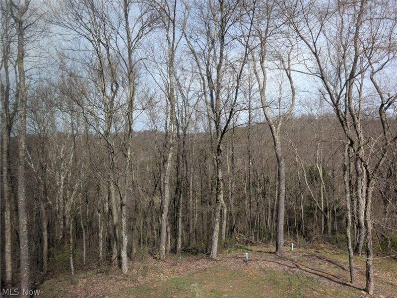 10073 Dunlap Road, Cambridge, OH 43725 Photo 49