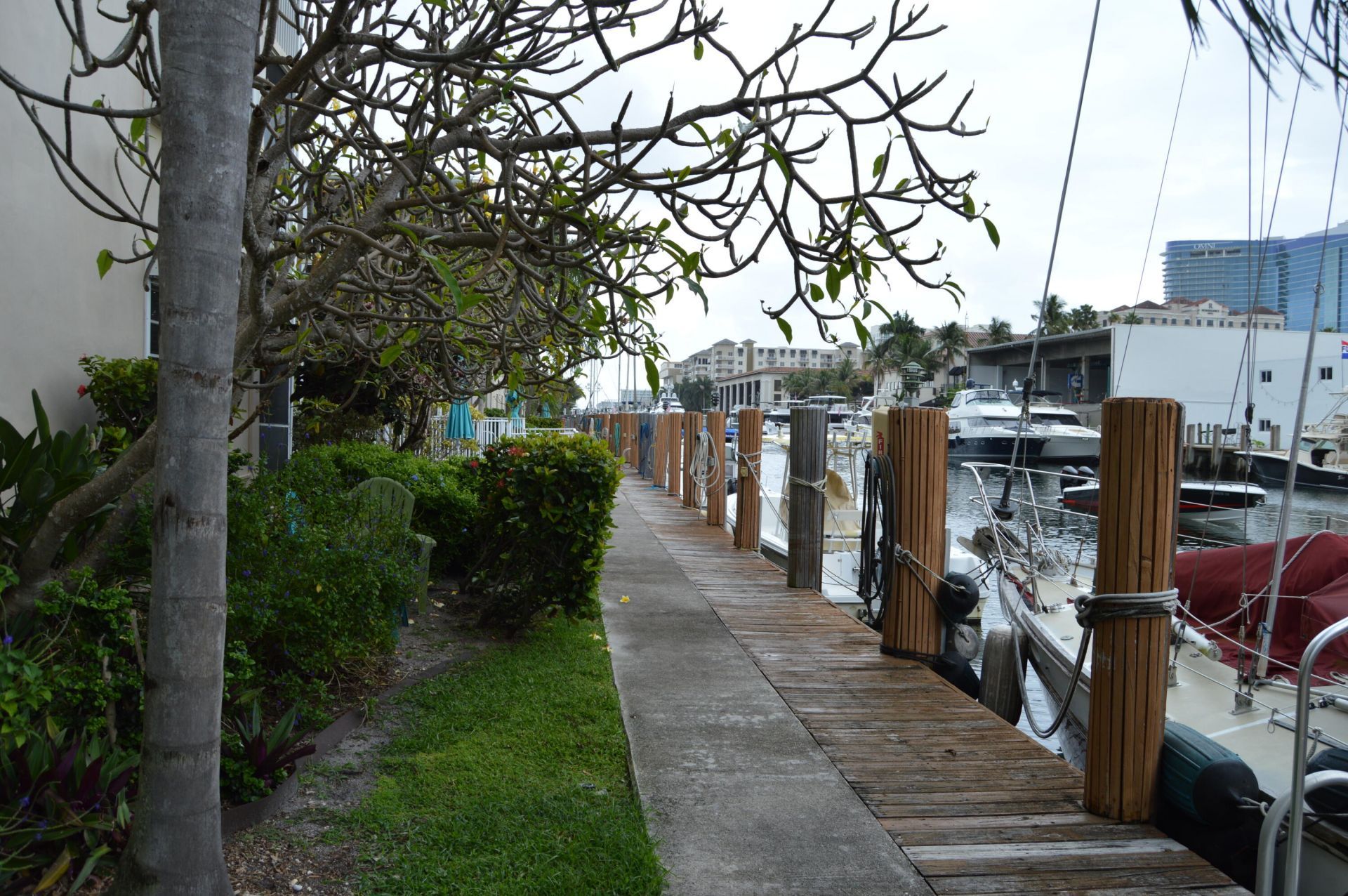 1500 SE 15th Street, Unit 219, Fort Lauderdale, FL 33316 Photo