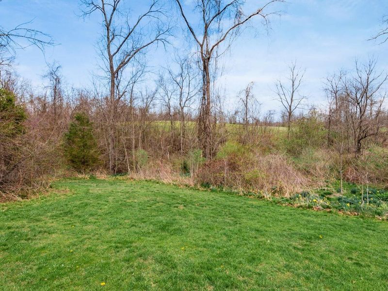 10021 W Triadelphia Road NW, Crooksville, OH 43731 Photo 44