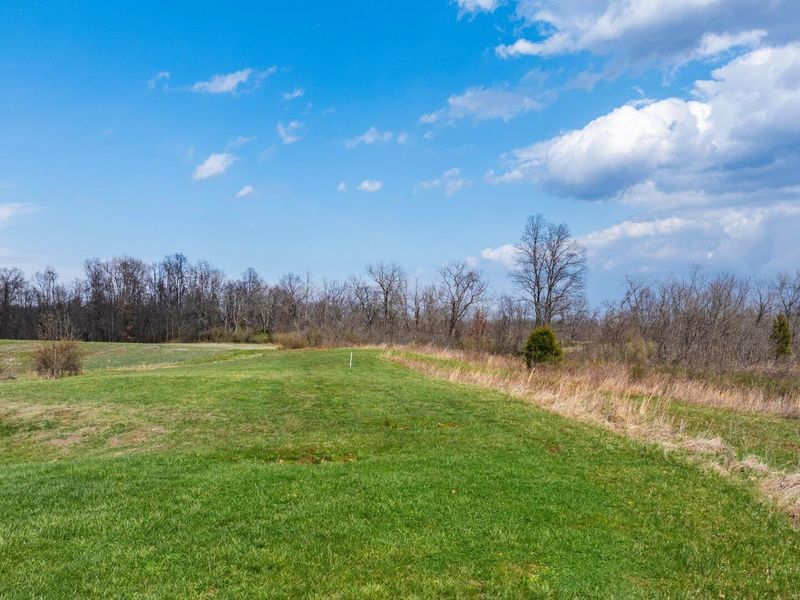 10021 W Triadelphia Road NW, Crooksville, OH 43731 Photo 78