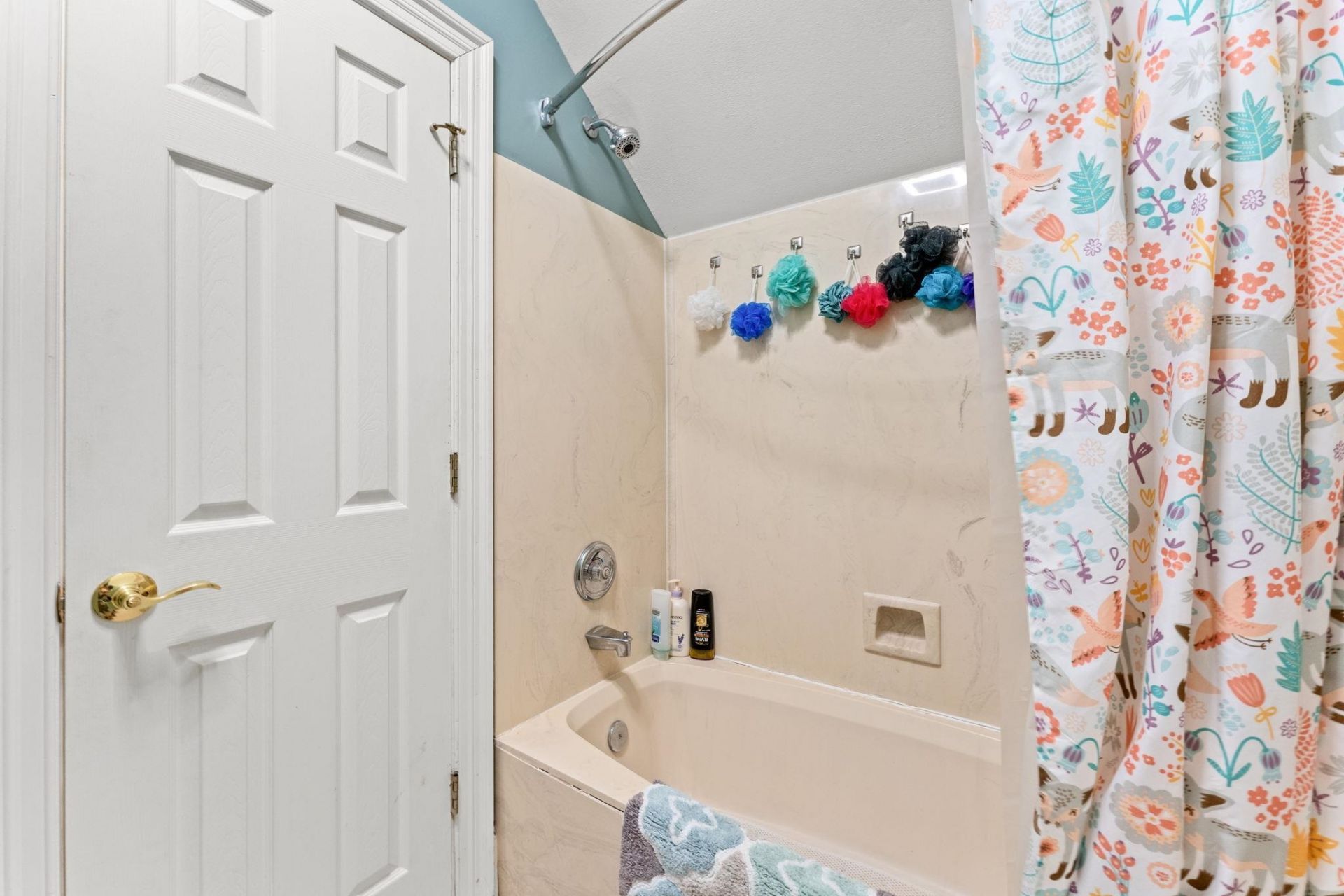 4806 Bucks Bluff Dr. Photo 32