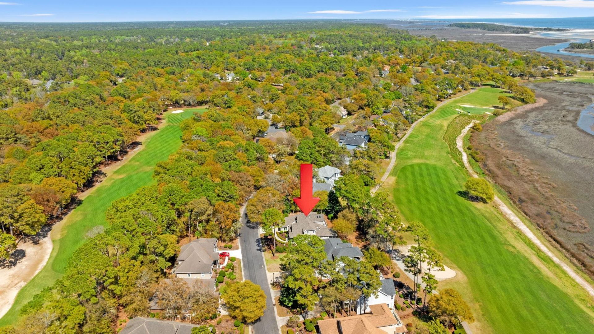 4806 Bucks Bluff Dr. Photo 37