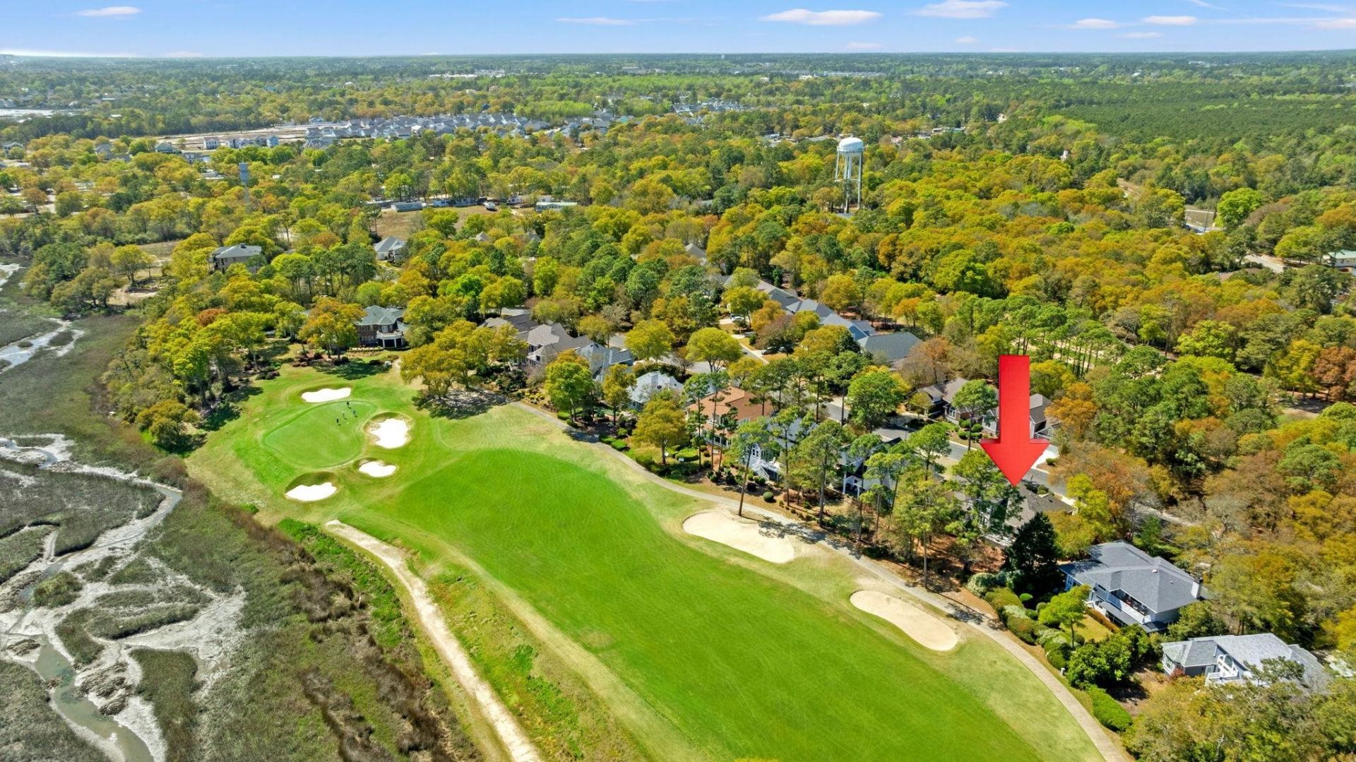 4806 Bucks Bluff Dr. Photo 38