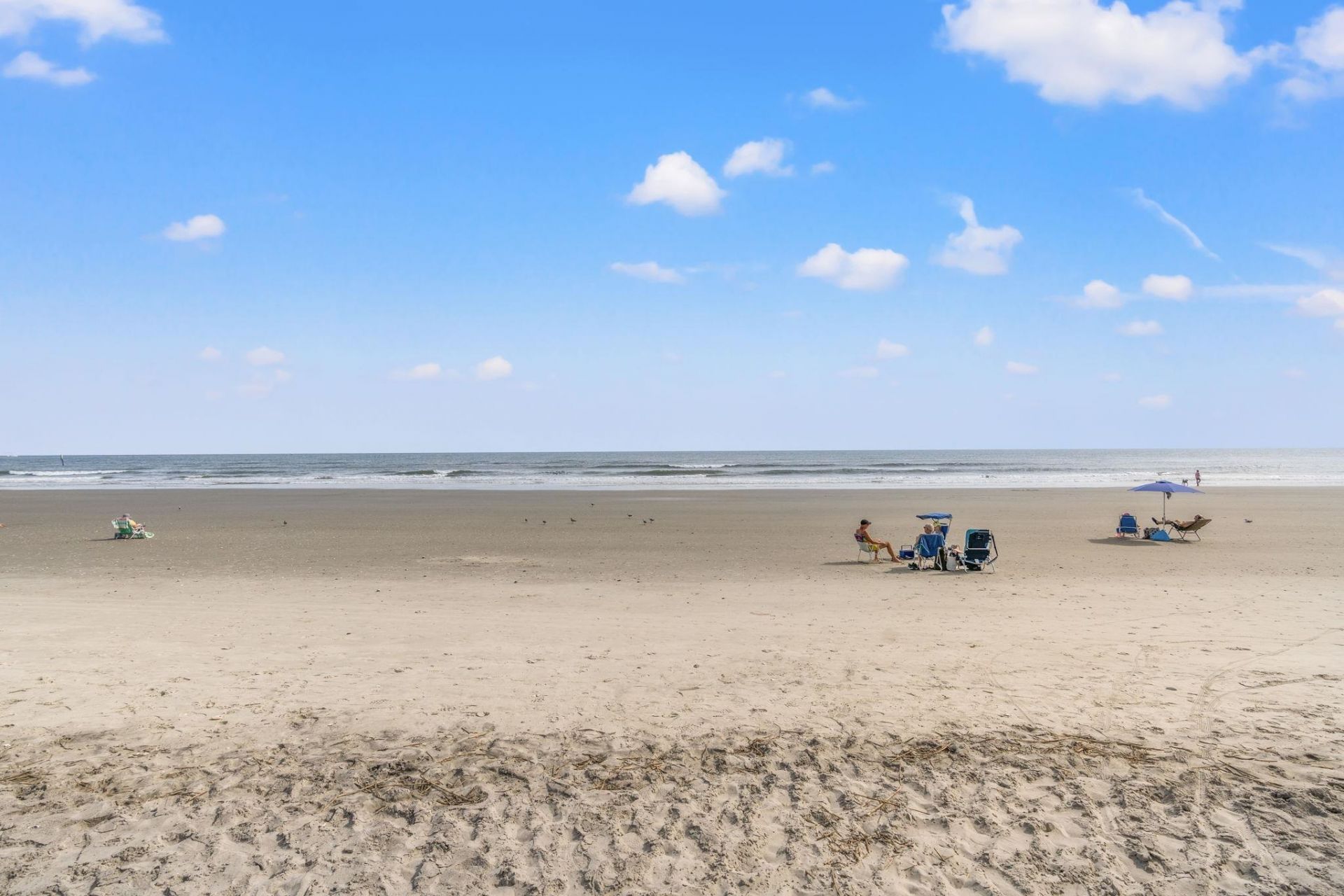 4806 Bucks Bluff Dr. Photo 49