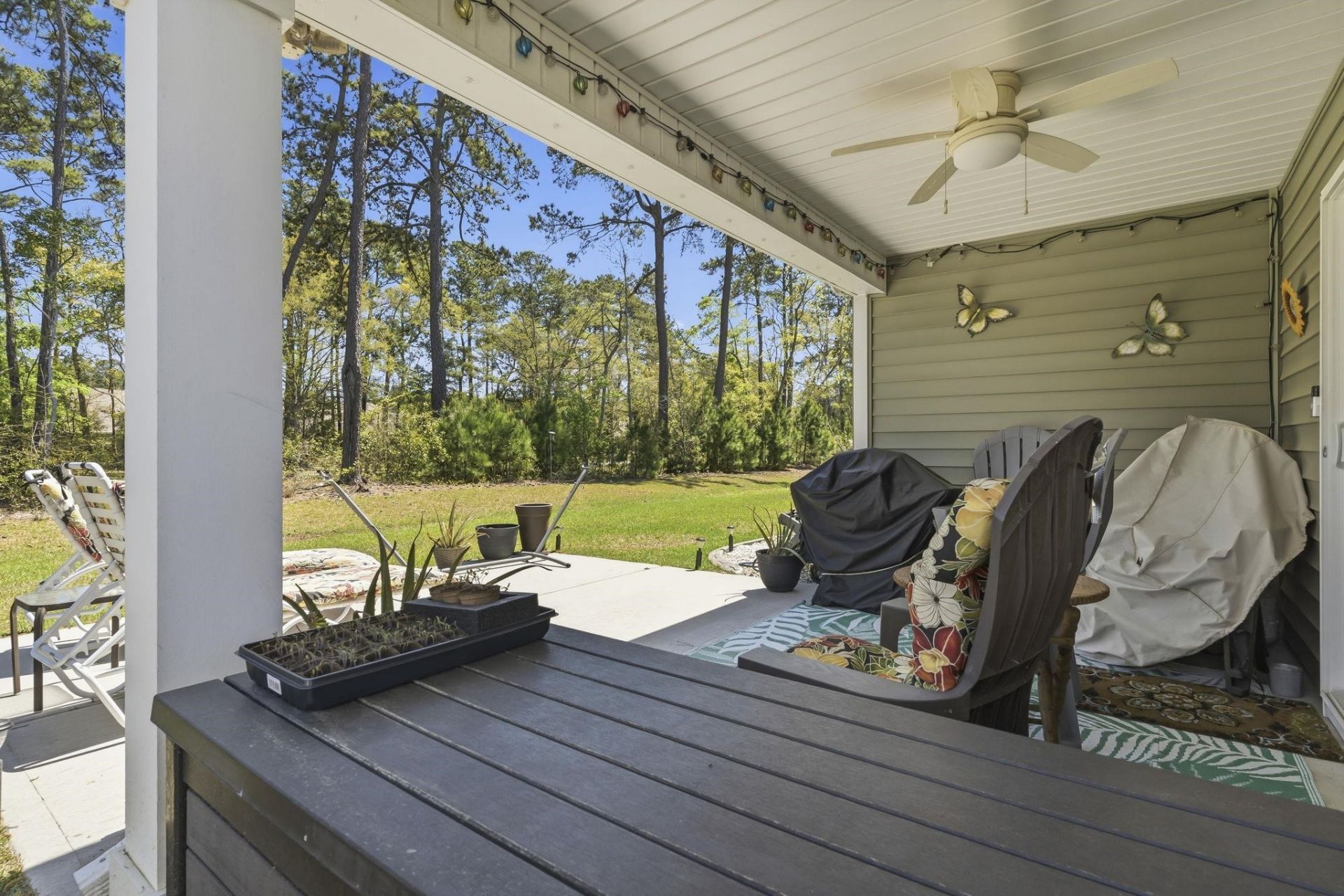 1560 Jardine Loop Photo 30