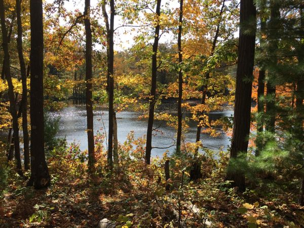 XXX Old Highway 63 , Barronett, WI 54871