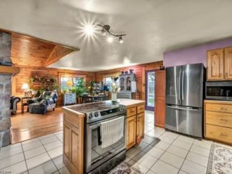 225 Township Road 581, Sullivan, OH 44880 Photo 14