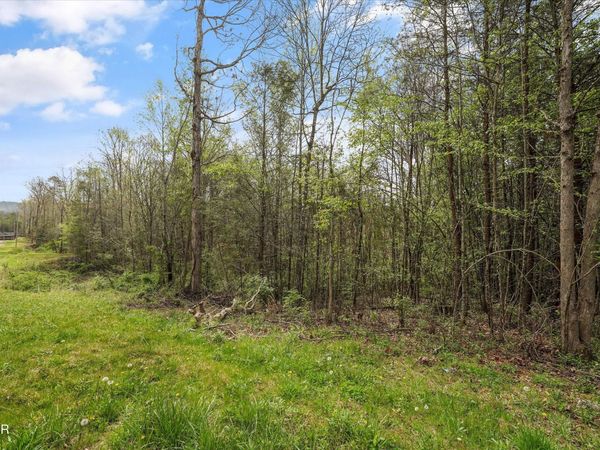 1433 Timber Trail, Newport, TN 37821