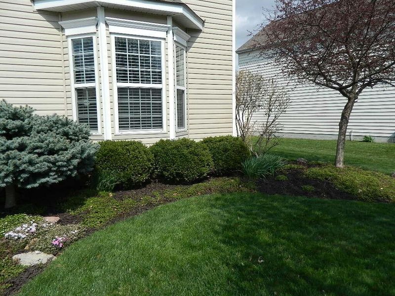 3626 Natalie Drive, Grove City, OH 43123 Photo 3