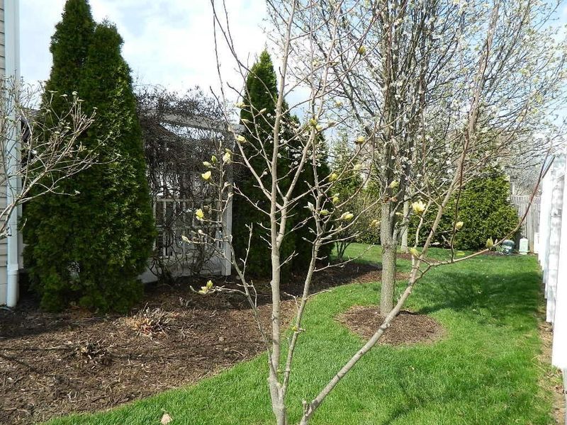 3626 Natalie Drive, Grove City, OH 43123 Photo 5