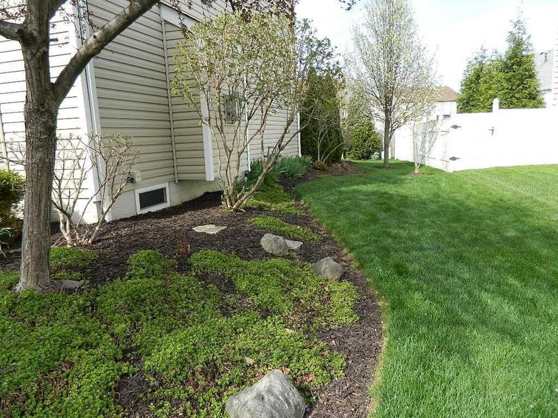 3626 Natalie Drive, Grove City, OH 43123 Photo 6