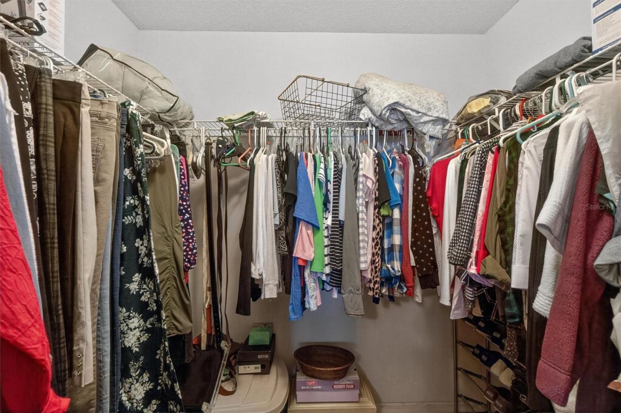 1918 Umbrella Tree Drive, Edgewater, FL 32141 Photo