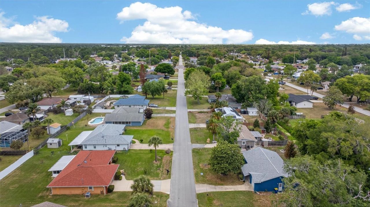 1918 Umbrella Tree Drive, Edgewater, FL 32141 Photo