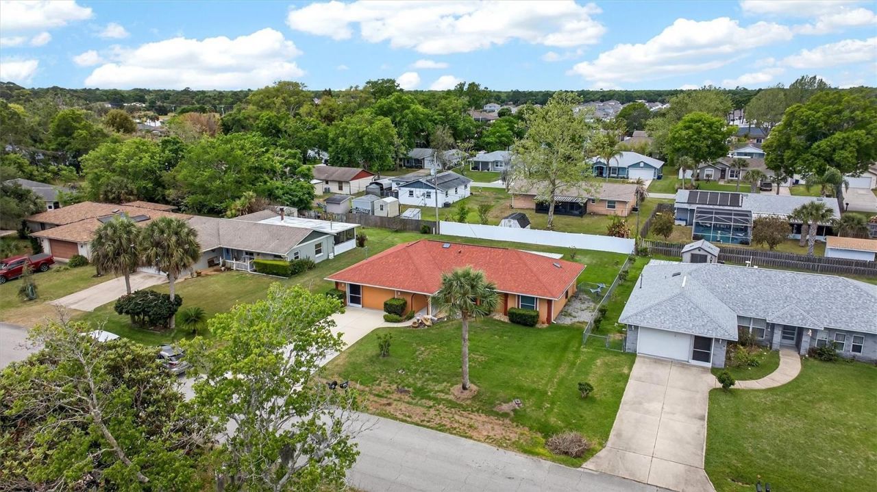 1918 Umbrella Tree Drive, Edgewater, FL 32141 Photo