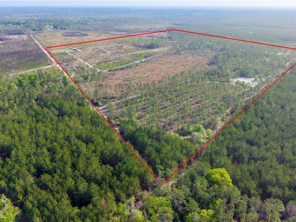 19977 NE 83RD WAY , GAINESVILLE, FL 32609