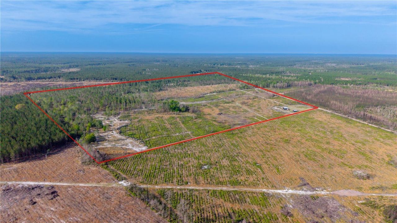 19977 NE 83rd Way , Gainesville, FL 32609 Photo