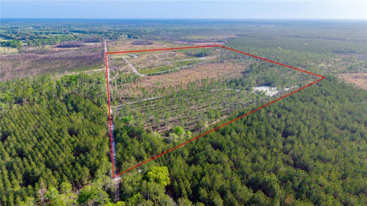 19977 NE 83rd Way , Gainesville, FL 32609 Photo