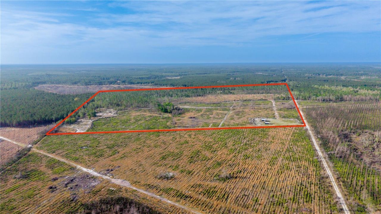 19977 NE 83rd Way , Gainesville, FL 32609 Photo