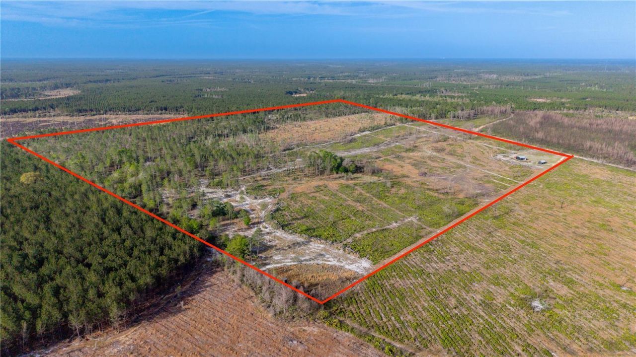 19977 NE 83rd Way , Gainesville, FL 32609 Photo