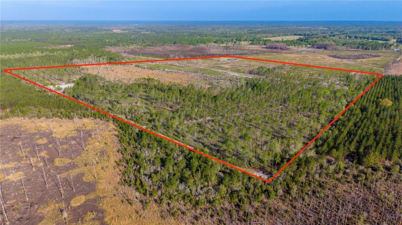 19977 NE 83rd Way , Gainesville, FL 32609 Photo