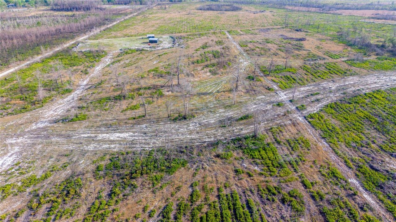 19977 NE 83rd Way , Gainesville, FL 32609 Photo