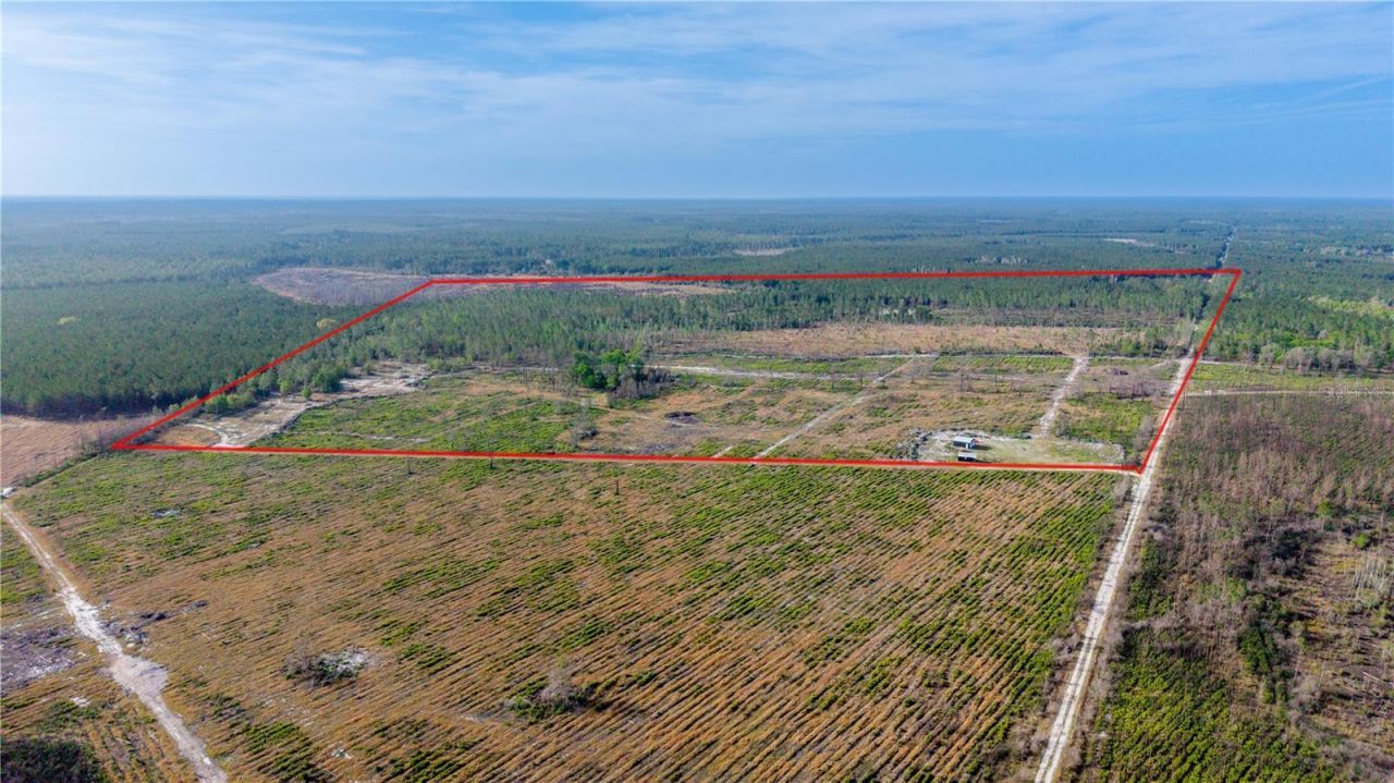 19977 NE 83rd Way , Gainesville, FL 32609 Photo