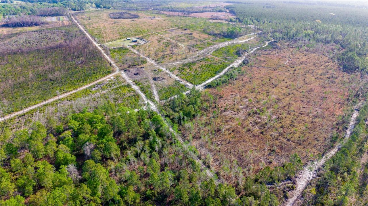 19977 NE 83rd Way , Gainesville, FL 32609 Photo