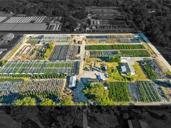 4004 REX DRIVE , WINTER GARDEN, FL 34787