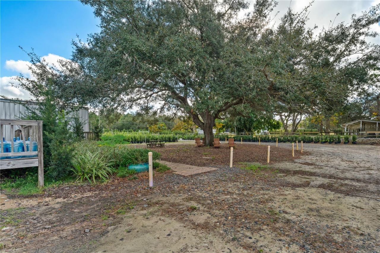 4004 Rex Drive , Winter Garden, FL 34787 Photo