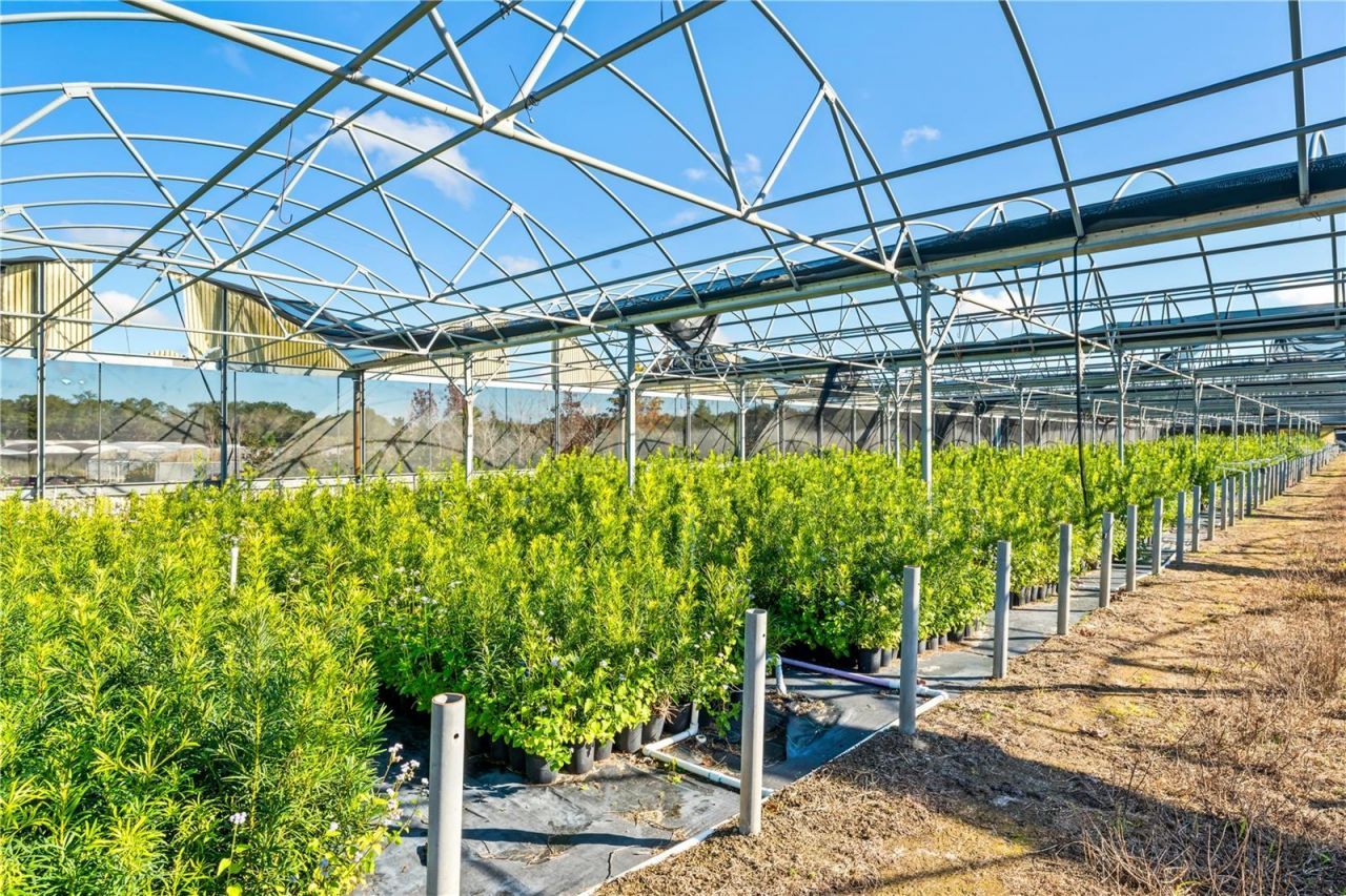 4004 Rex Drive , Winter Garden, FL 34787 Photo