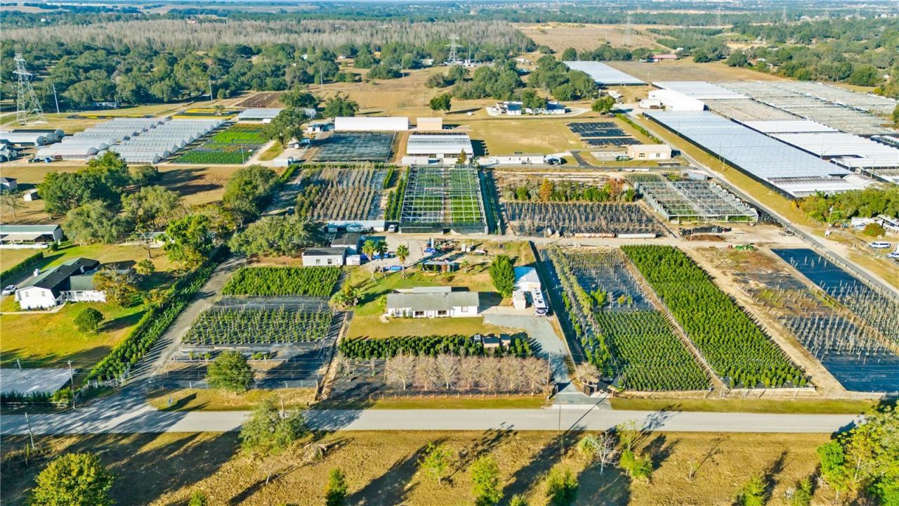 4004 Rex Drive , Winter Garden, FL 34787 Photo