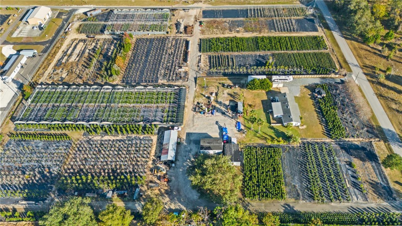 4004 Rex Drive , Winter Garden, FL 34787 Photo