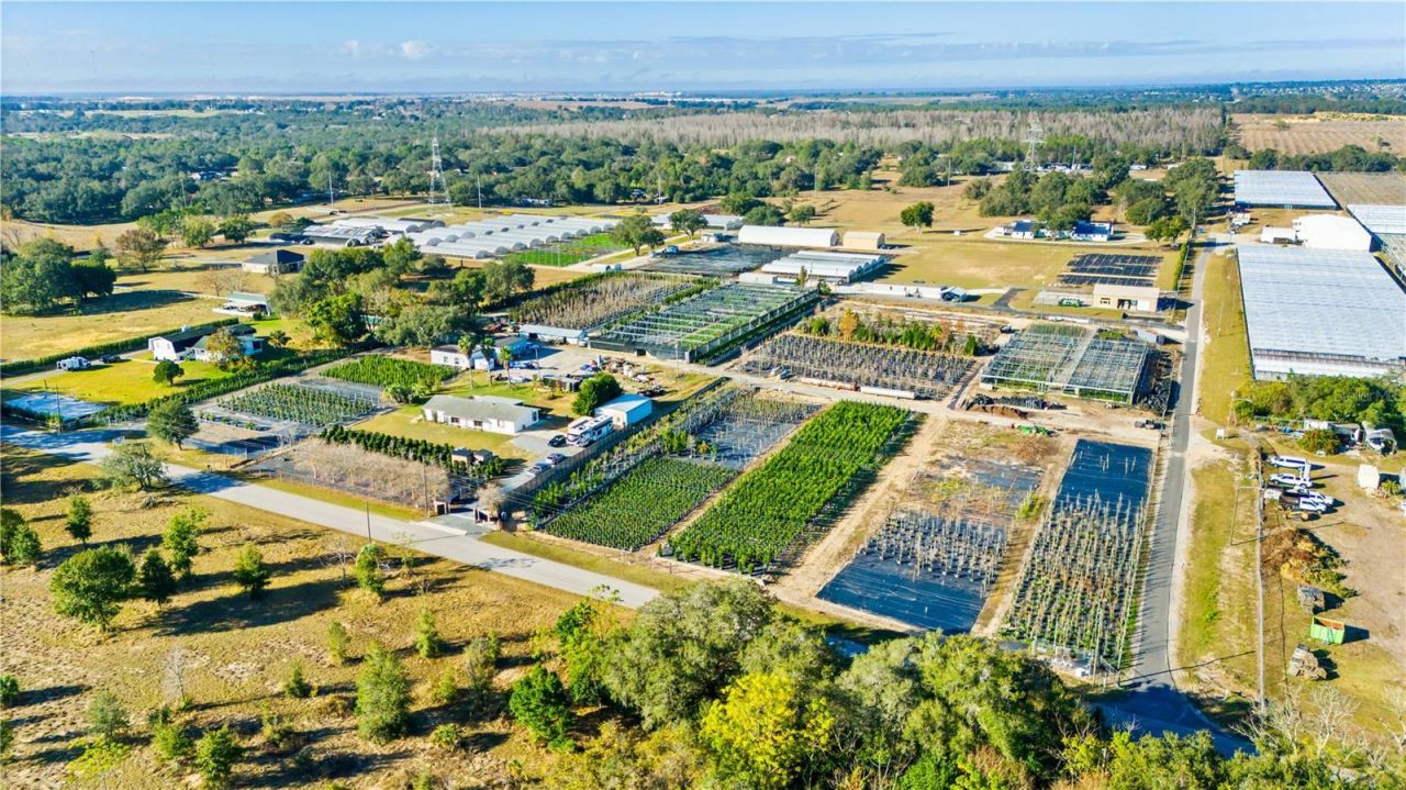 4004 Rex Drive , Winter Garden, FL 34787 Photo