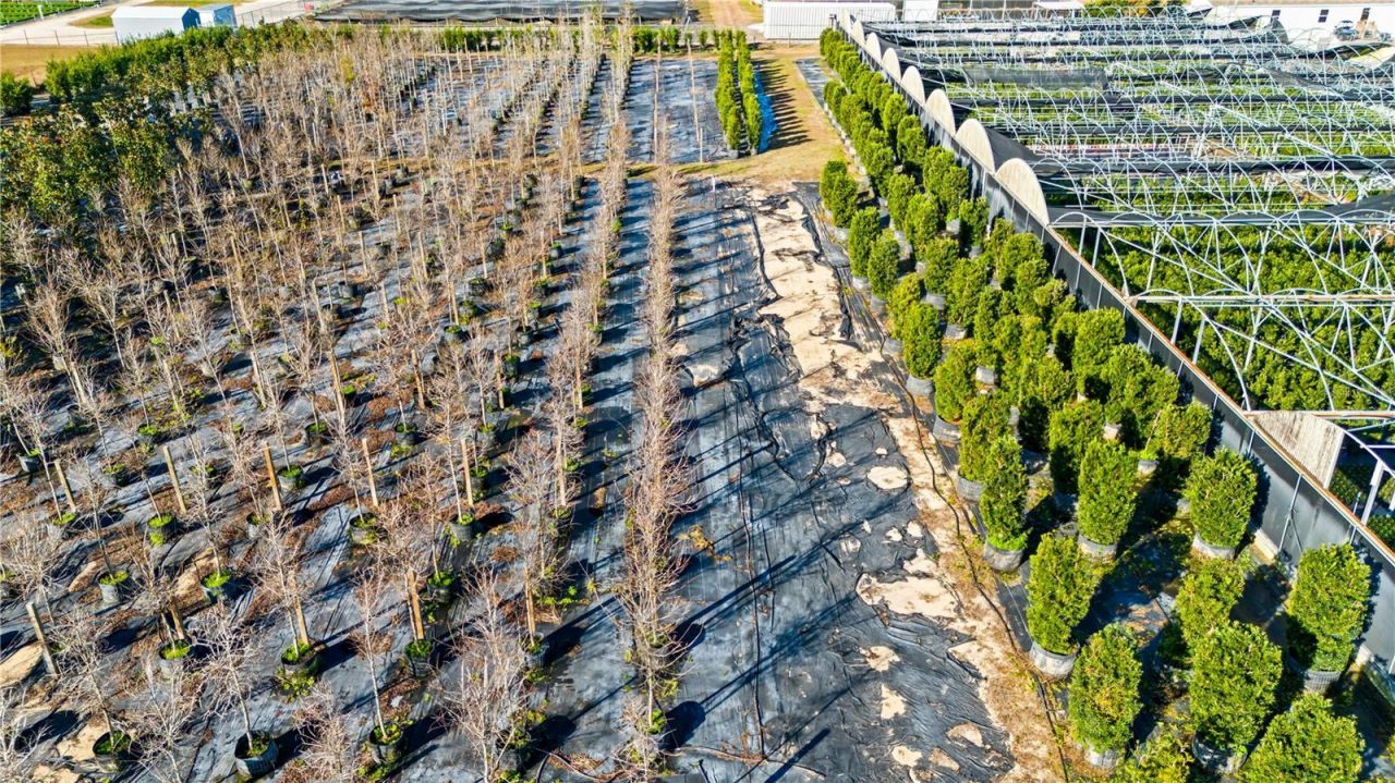 4004 Rex Drive , Winter Garden, FL 34787 Photo