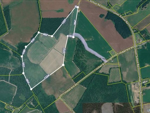 TBD 50.5 Ac off Union School Rd. , Coward, SC 29530