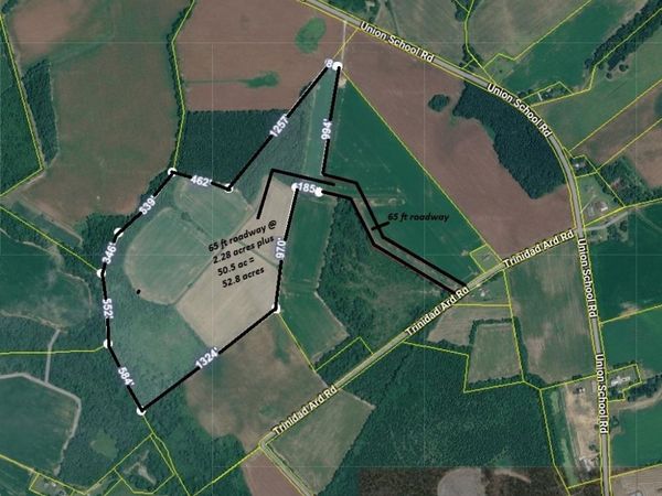 TBD 52.8 Ac off Union School Rd., Coward, SC 29530