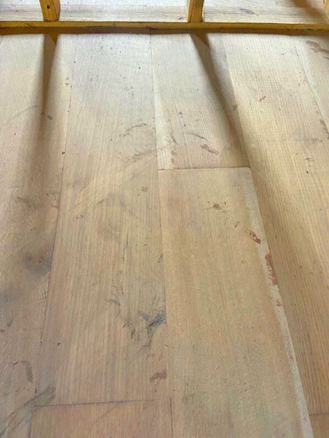 8 Islington Court Photo 6