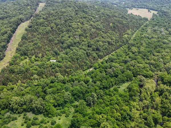 0 Big Twin Creek Road, Worthville, KY 41098