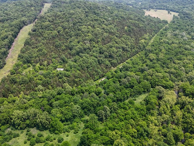 0 Big Twin Creek Road, Worthville, KY 41098 Photo 1