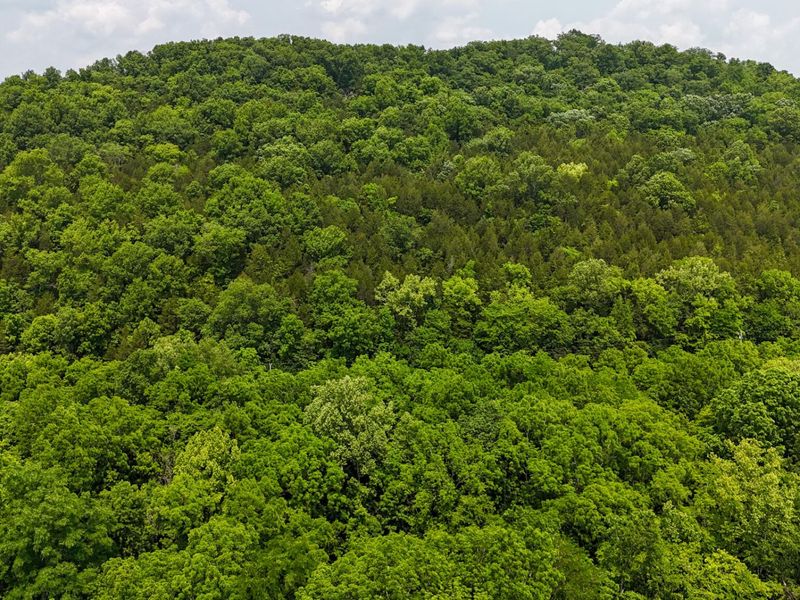 0 Big Twin Creek Road, Worthville, KY 41098 Photo 10