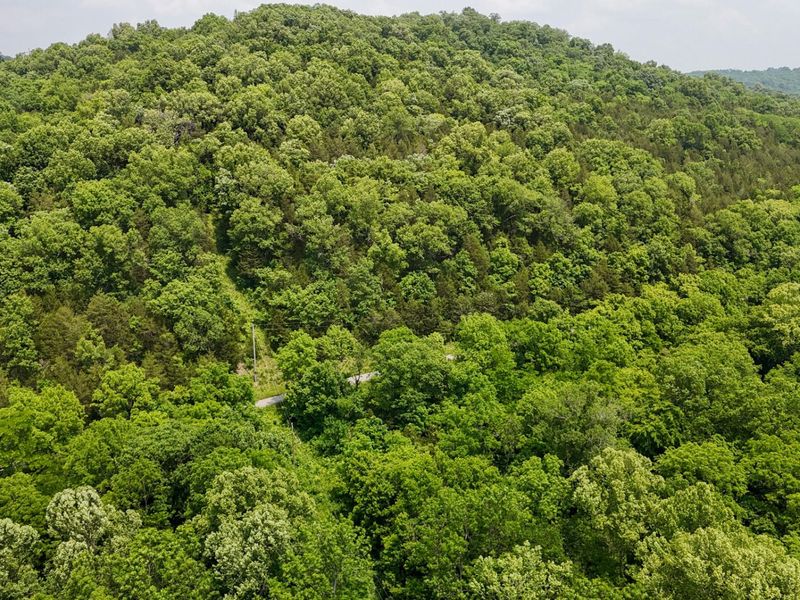 0 Big Twin Creek Road, Worthville, KY 41098 Photo 11