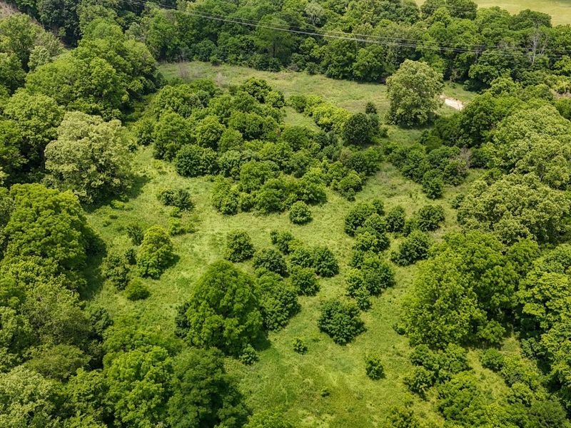 0 Big Twin Creek Road, Worthville, KY 41098 Photo 12