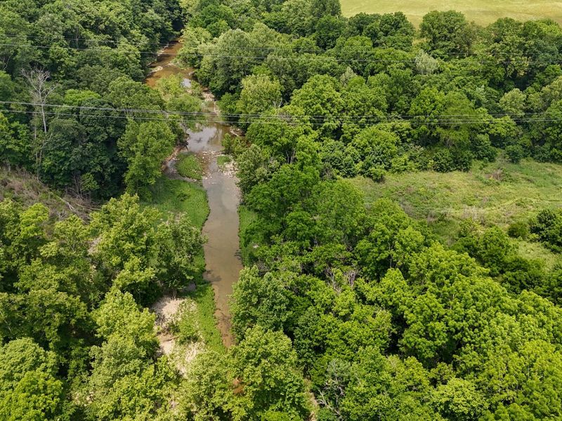 0 Big Twin Creek Road, Worthville, KY 41098 Photo 13