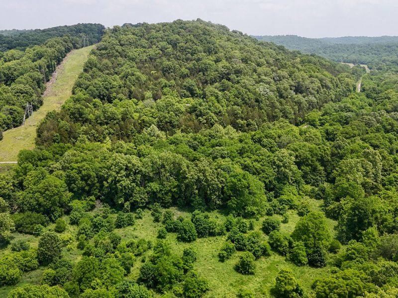 0 Big Twin Creek Road, Worthville, KY 41098 Photo 14