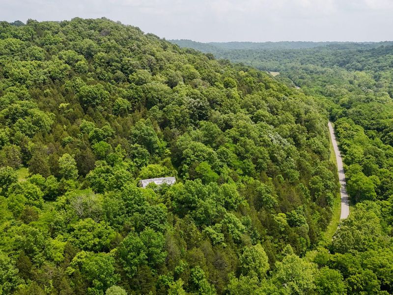 0 Big Twin Creek Road, Worthville, KY 41098 Photo 15