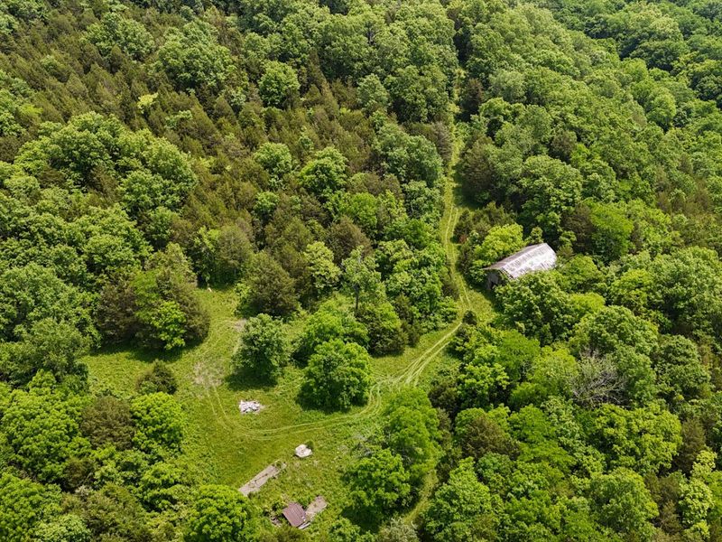 0 Big Twin Creek Road, Worthville, KY 41098 Photo 16