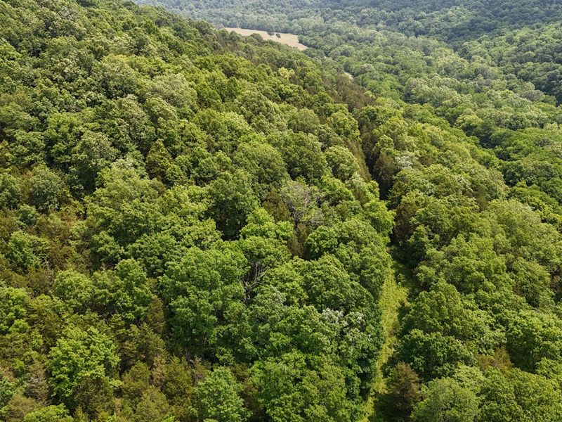 0 Big Twin Creek Road, Worthville, KY 41098 Photo 17