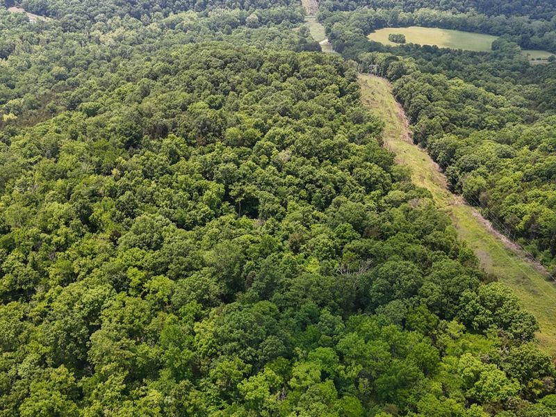 0 Big Twin Creek Road, Worthville, KY 41098 Photo 19