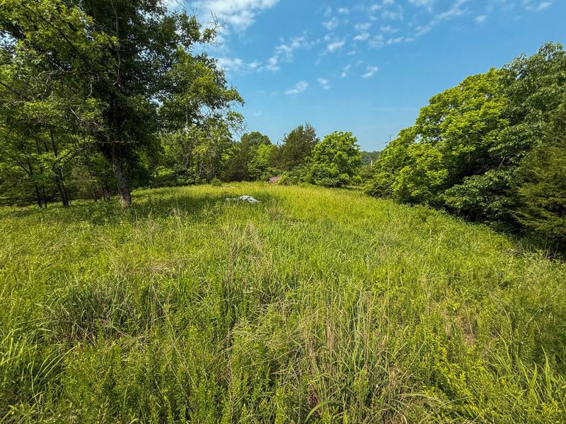 0 Big Twin Creek Road, Worthville, KY 41098 Photo 2