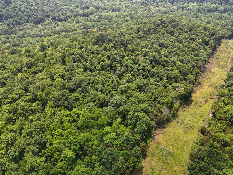 0 Big Twin Creek Road, Worthville, KY 41098 Photo 20